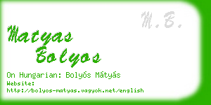 matyas bolyos business card